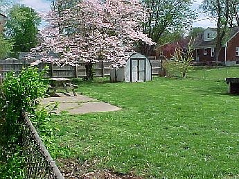 fenced yard
