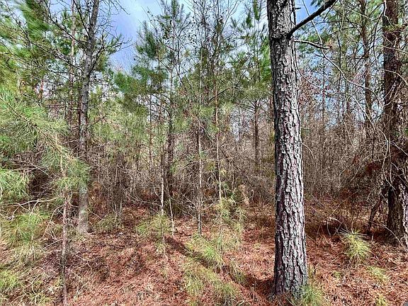 2nd image of 1 Ford Rd