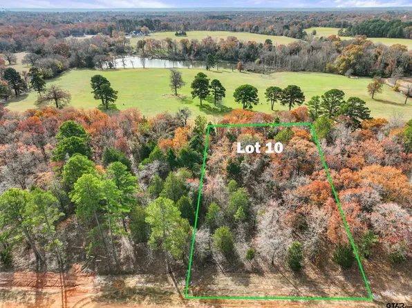 Private Road 6305 Lot 10, Mineola, TX 75773