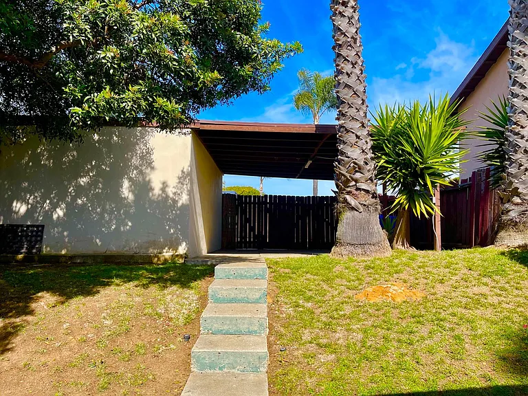 back yard and carport