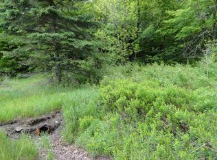 L17 Dry Pond Rd LOT 17, Glover, VT 05839