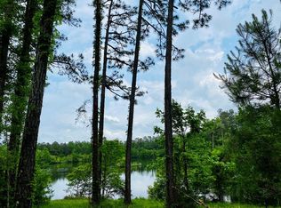 86 Old Ness Plantation Rd, Carriere, MS 39426