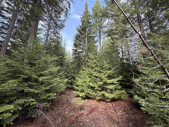 3rd image of 4828 Eagle Ridge Way
