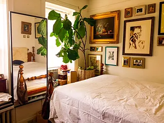 Rented by Veracity NYC LLC