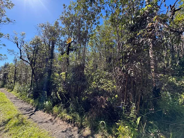 ROAD 5 (UAU), Mountain View, HI 96760