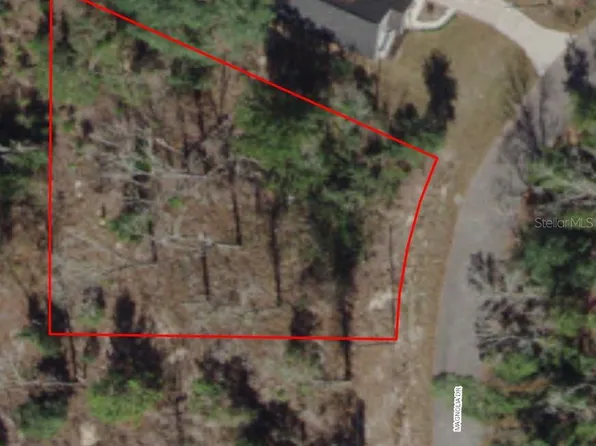 Magnolia Dr Lot 2, Ocklawaha, FL 32179