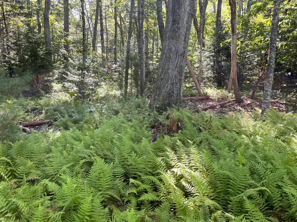 38E State Route 32, Bristol, ME 04564