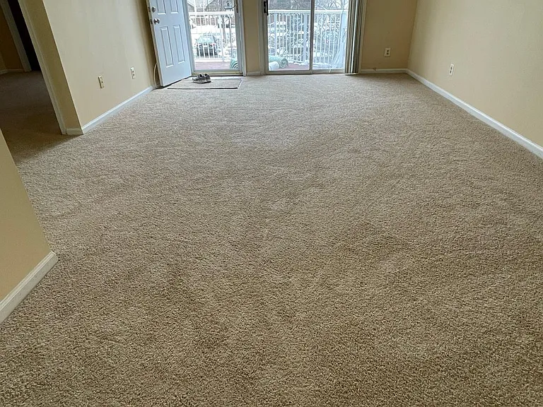 14 Cedar Ct — Photo 3