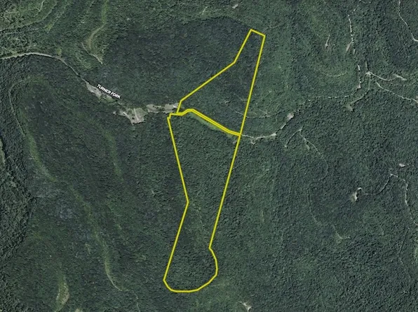 0 Spangler Rd, Pond Gap, WV 25160