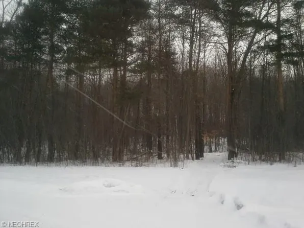 4621 Burkholder Dr, Geneva, OH 44041