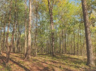 0 Howard Hutsell Ln, Spring City, TN 37381