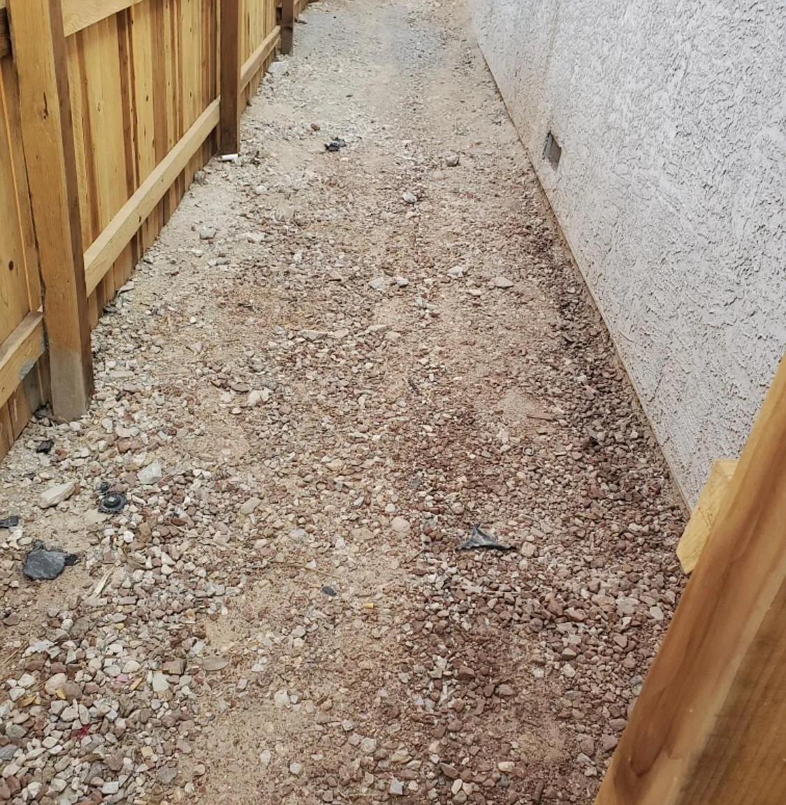 2 bed, 900 sqft, $1,195 — Photo 3