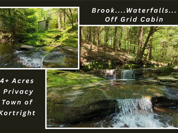 LOT 35 Webster Brook Rd, Kortright, NY 13739