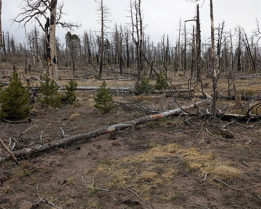 1st image of Lot 2296 Wohlstetter Loop