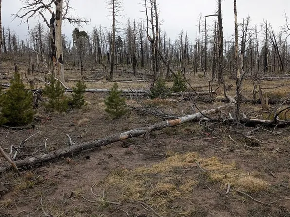 Lot 2296 Wohlstetter Loop, Fort Garland, CO 81133