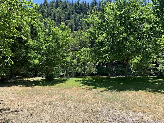 5th image of 336 Reo Ln