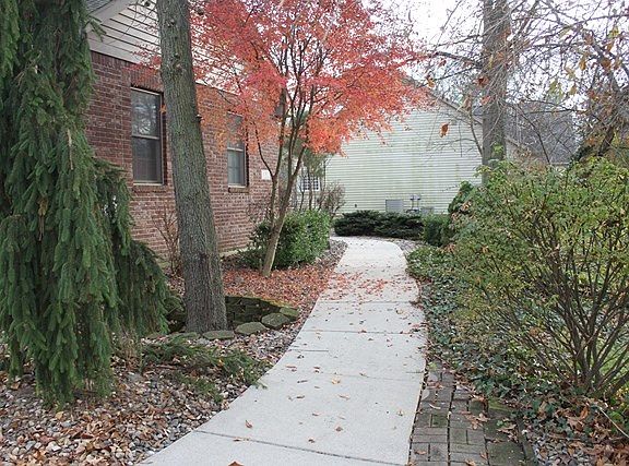 4th image of 6307 Gallegos Dr