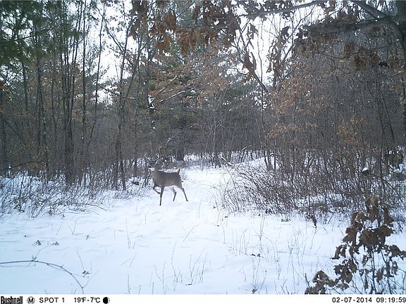 5th image of 396 Bush Road