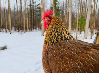 134 Farrington Rd, Matawan, NJ 07747