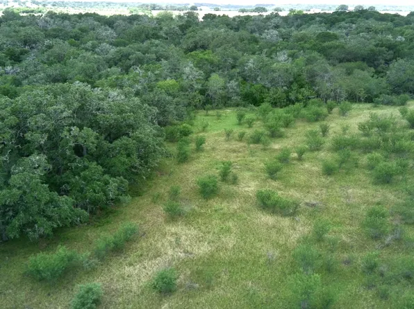12250 Fm 3353 Tract B, Kingsbury, TX 78155