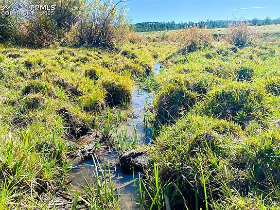 3rd image of Rosebush Rd