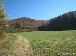 145 Rice Branch Rd, Asheville, NC 28804