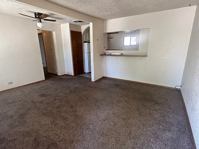 808 Avocado St — Photo 5