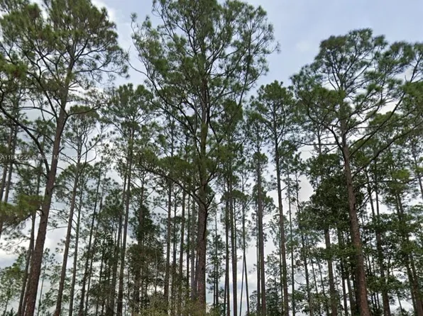 0 Greenley St, Interlachen, FL 32148