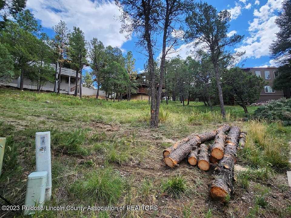 2nd image of 203 Marble Dr