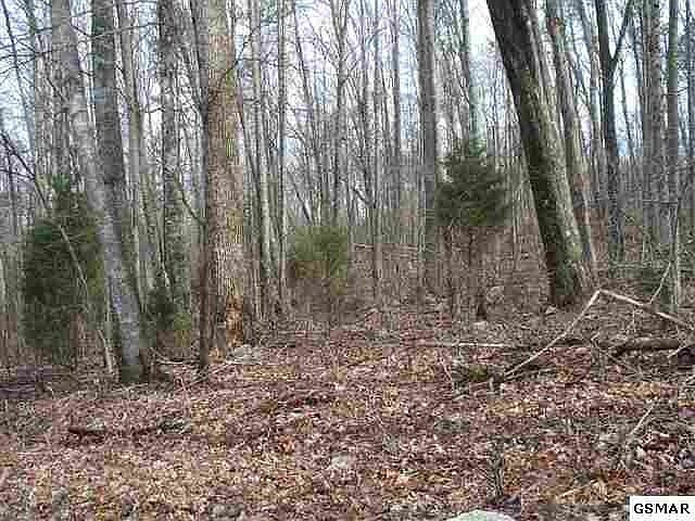 1st image of 93 Prosser Thornton Rd Lot 3