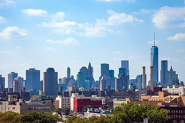 Rented by Bold New York