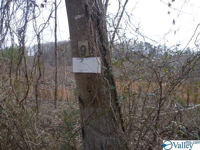 2nd image of 9 County Road 88