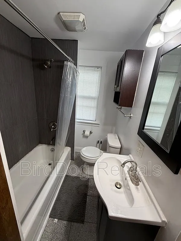 1 bed, 1.0 bath, $850 — Photo 4