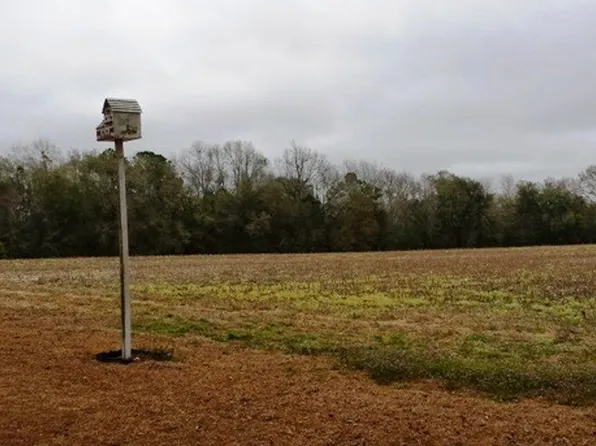 1258 Alford Rd, Samson, AL 36477