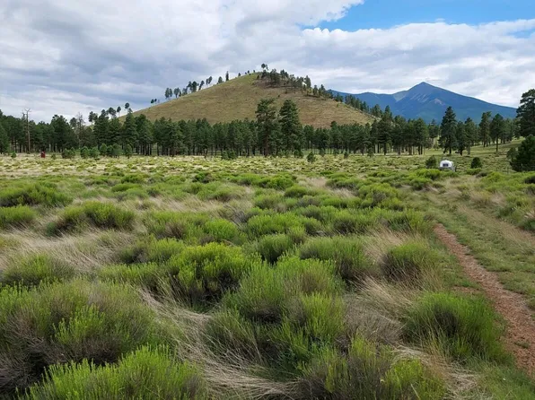 21 Fun Valley Road #21, Flagstaff, AZ 86001