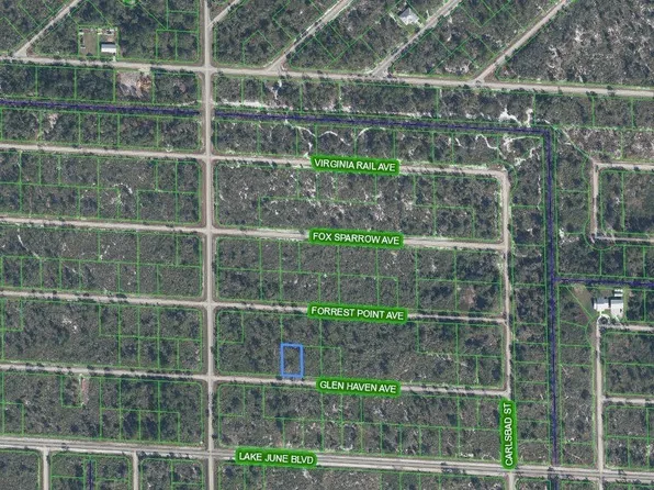 3457 Glen Haven Ave, Lake Placid, FL 33852