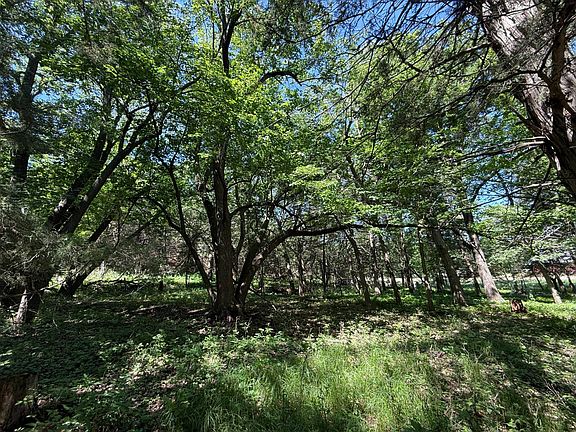 4th image of 10 / Acres