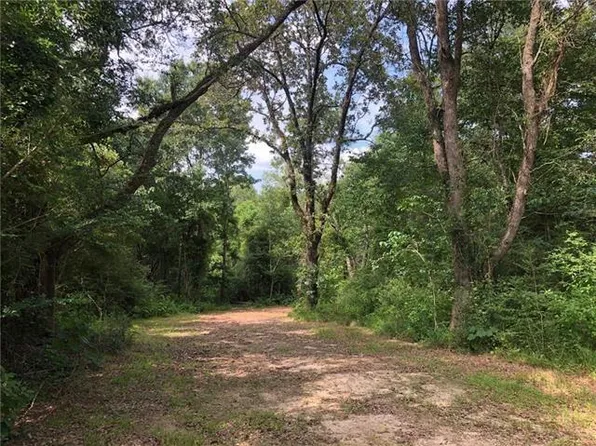 81074 N Rolling Hills Ln, Folsom, LA 70437