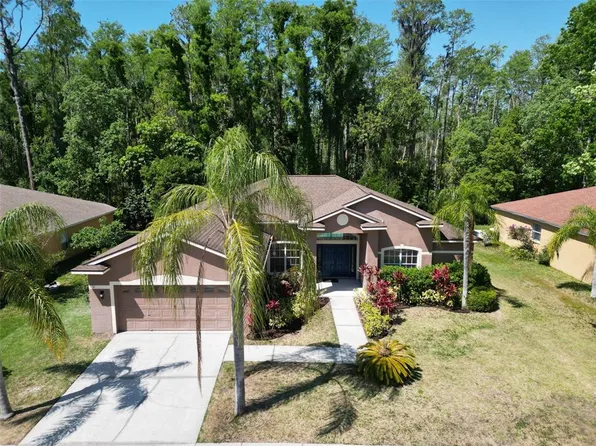 1135 Wyndham Lakes Dr, Odessa, FL 33556