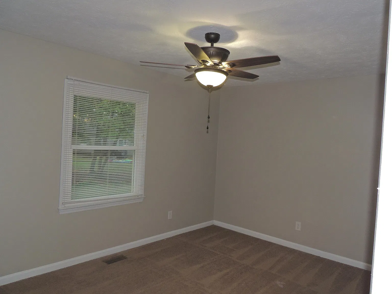 6919 Calamar Dr - 1 — Photo 4