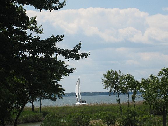 5th image of 55 Prospect Bay Dr W