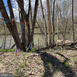 Hickory Lane Hickory #0, Woodstock, VA, 22664