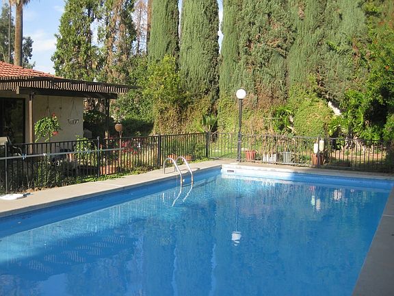 lovely backyard pool