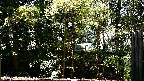 655 Kenridge Dr — Photo 36
