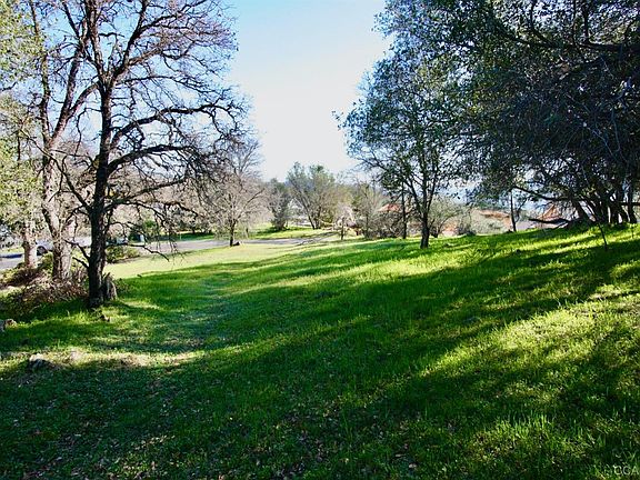 5th image of 819 Live Oak Dr #158