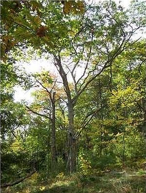 2nd image of Lot 5 Clarks Point Road