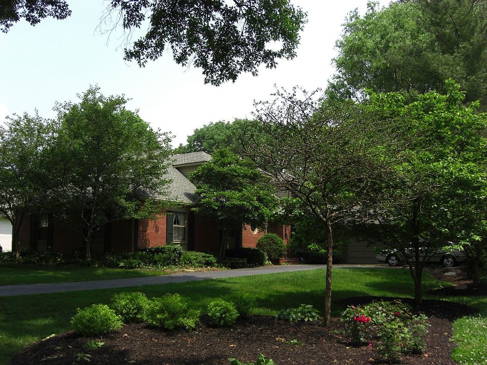 Front view