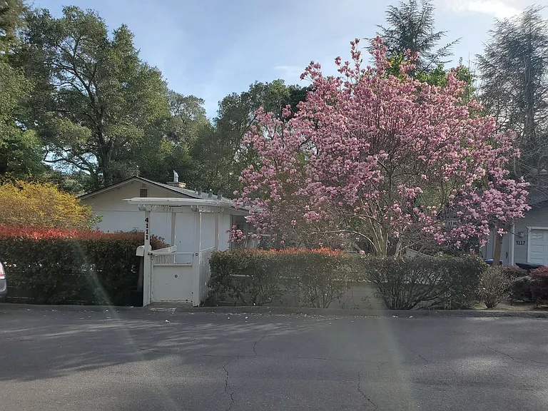 4111 Hidden Valley Rd — Photo 16