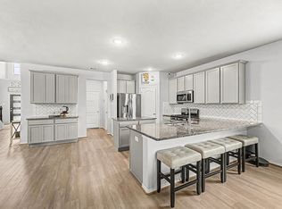 21254 Catalina Palm Dr, Cypress, TX 77433