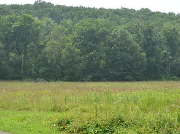 LOT Eleven Idle Wheels Ln, Sayre, PA 18840